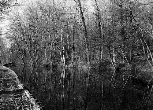  (&copy;) Peter Van Damme