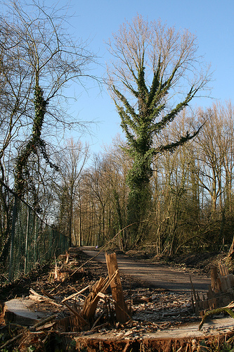  (&copy;) Peter Van Damme