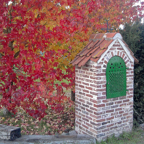 Herfstkleuren (©) Peter Van Damme